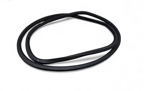 Volkswagen Atlas Rear door rubber seal (on body) 3CN867914B