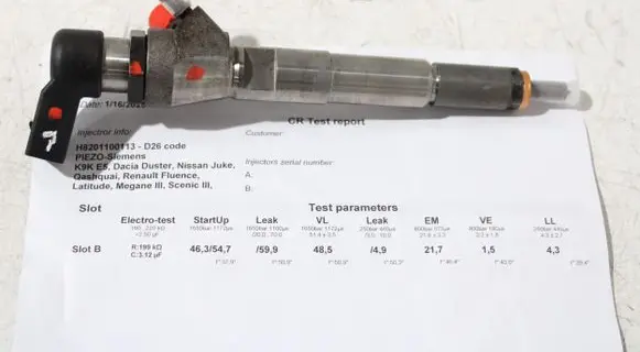 Nissan Juke I F15 Fuel injector H8201100113 166006212R