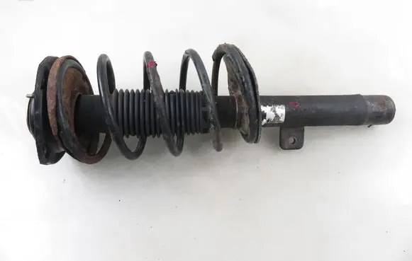 Peugeot 206 Front shock absorber with coil spring 