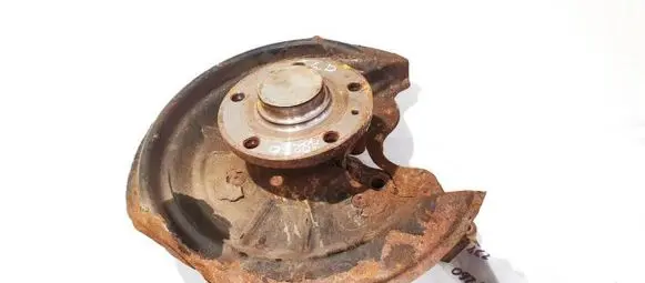 Skoda Octavia Mk2 (1Z) Rear wheel hub didzioji