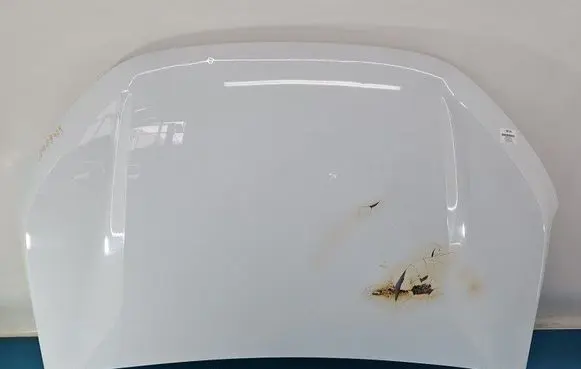Engine bonnet/hood