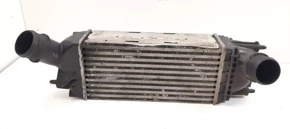 Intercooler radiator