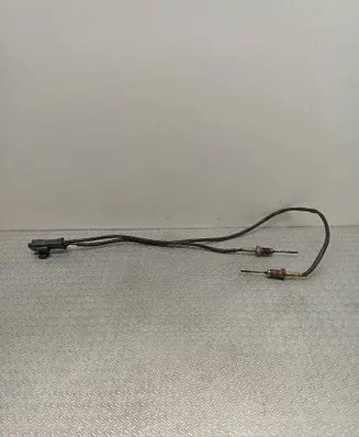 Peugeot 308 Exhaust gas temperature sensor 9812376480