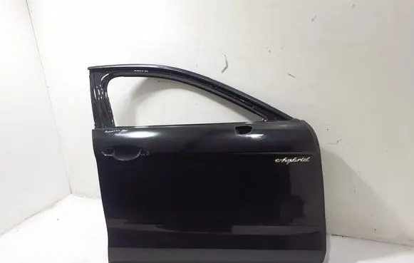 Porsche Panamera (971) Front door 971831022Y