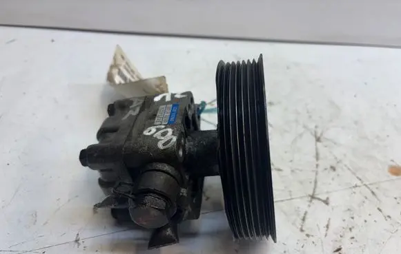 Suzuki Grand Vitara II Power steering pump 4910067J00 5Y254024