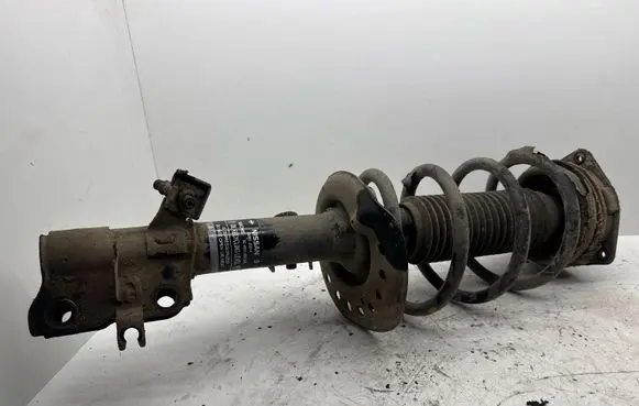 Nissan Qashqai Front shock absorber with coil spring 824903002934 54363JD01A