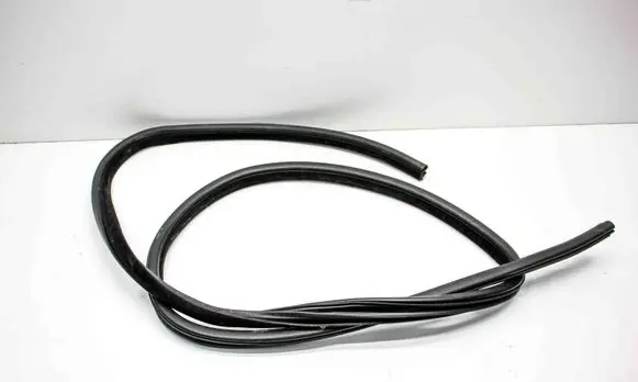 Chrysler 300C Rubber seal rear door 