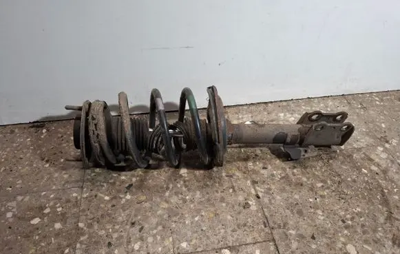 Lexus RX III Front shock absorber with coil spring 4852048290