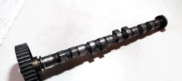 Volvo S40, V40 Camshaft 1001590