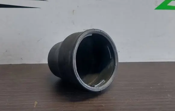 Nissan Leaf I (ZE0) Rear shock absorber/damper