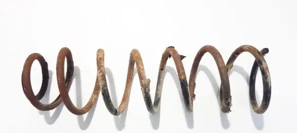 Rear coil spring