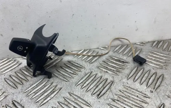 BMW X5 E70 Steering wheel adjustment switch 6966710 61316966710