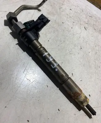 Citroen C-Crosser Fuel injector 0445115025