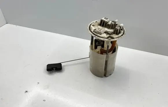 Renault Scenic III - Grand scenic III In-tank fuel pump 172020056R 10039740100 0580207011