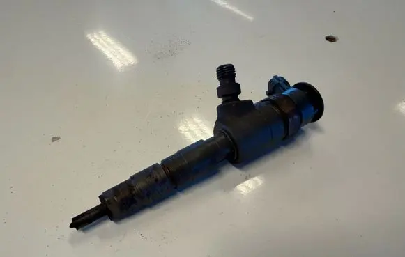 Peugeot Partner III Fuel injector 0445110340