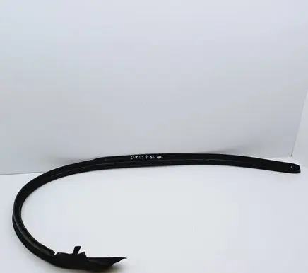 Renault Clio III Front door rubber seal 