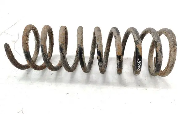 Rear coil spring