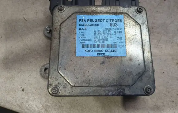 Peugeot 1007 Power steering control unit/module 9655460380 Q1T19076MZE 6900000589