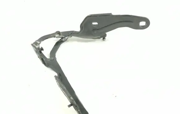 BMW Z4 E89 Tailgate/trunk/boot hinge 41007191275