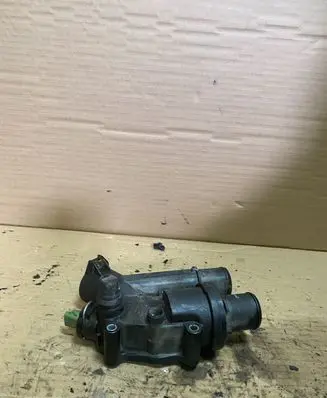 Thermostat/thermostat housing