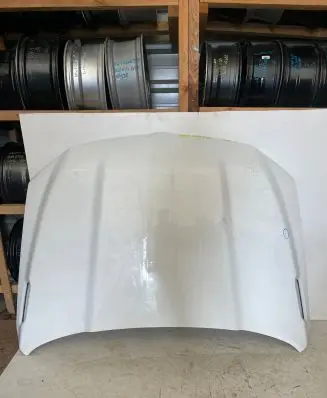 Ram 1500 Engine bonnet/hood