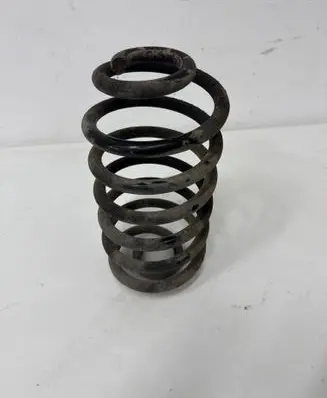 Rear coil spring