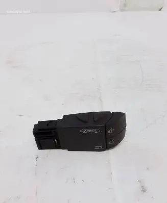 Multifunctional control switch/knob