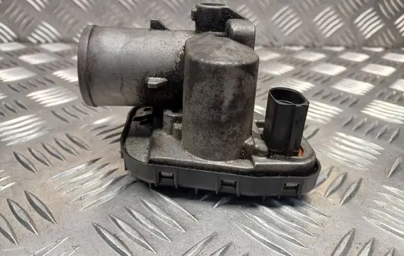 Nissan Qashqai Throttle valve 8200302798J