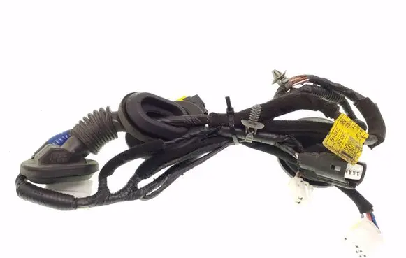 Rear door wiring loom