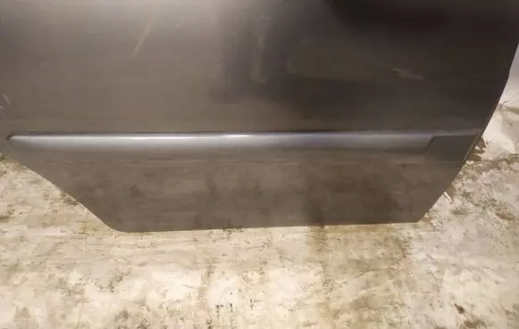 Citroen C3 Rear door trim (molding)