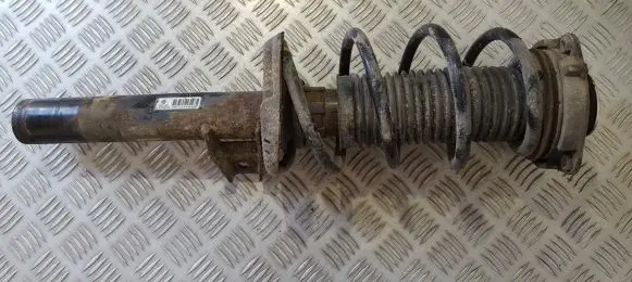 Volkswagen Golf V Front shock absorber/damper 1k0413031bf