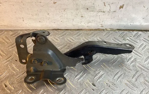 Lexus RX 450H Engine bonnet/hood hinges 