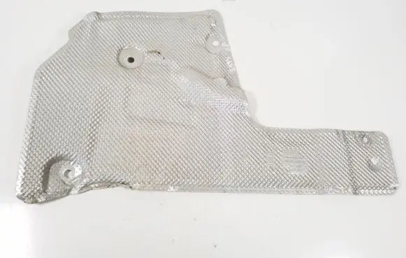 Exhaust heat shield