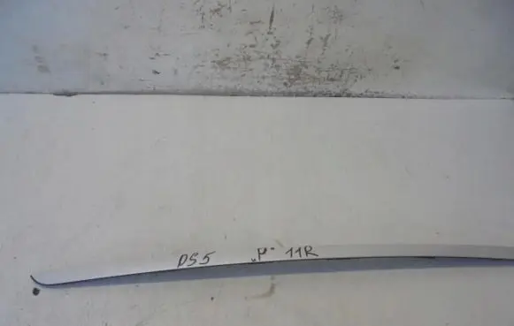 Citroen DS5 Windshield trim
