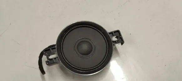 Panel speaker
