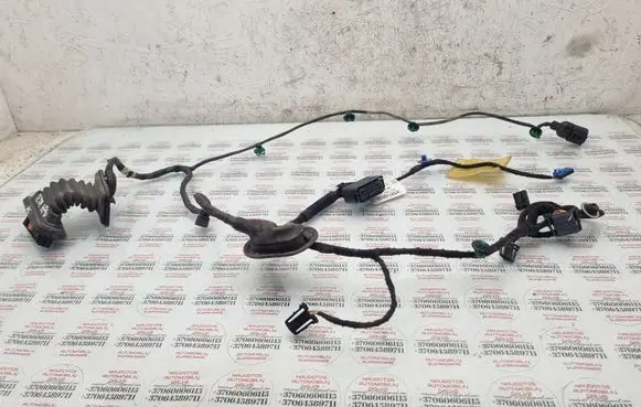Rear door wiring loom
