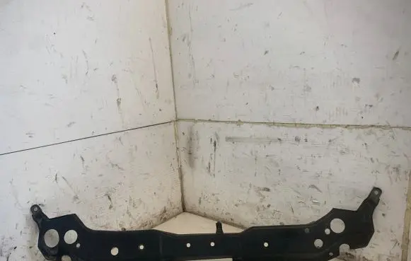 Engine bonnet/hood lock trim molding