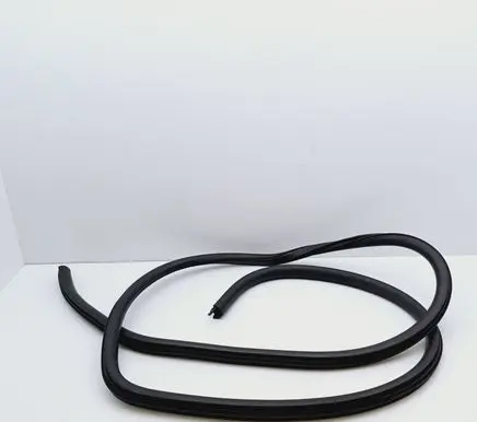 Ford Focus Rear door rubber seal (on body) 
