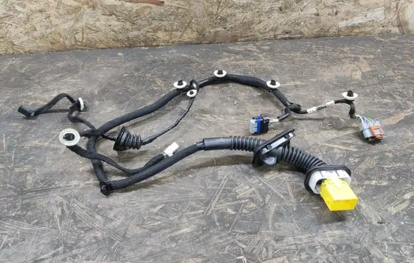 Rear door wiring loom