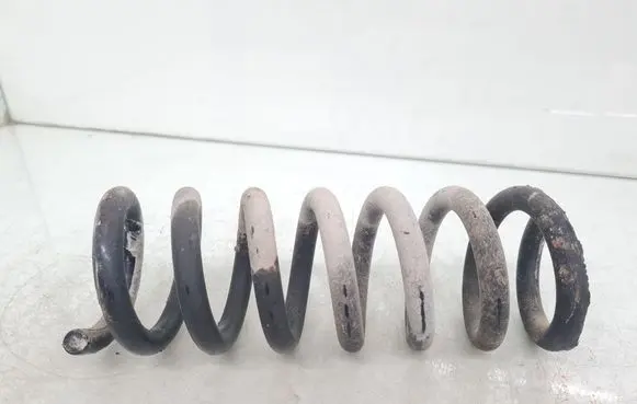 Rear coil spring