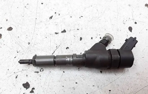 Citroen C5 Fuel injector 0445110008