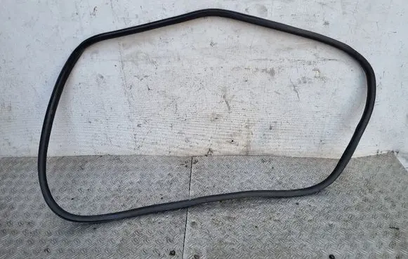 Citroen DS3 Front door rubber seal 9670312080