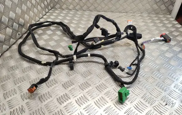 Citroen DS5 Other wiring loom 9801373880