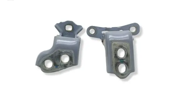 Renault Clio V Front door hinge set 