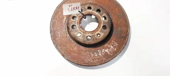 Volkswagen Golf V Front brake disc ventiliuojamas