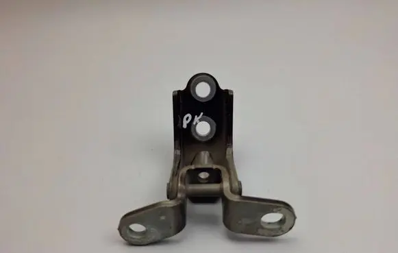 Rear door lower hinge