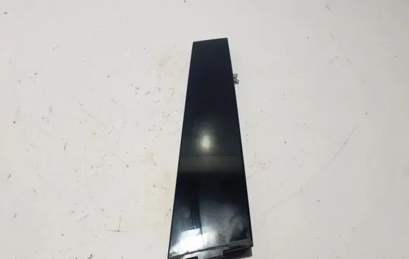 Renault Arkana Rear door trim (molding) 822830193R