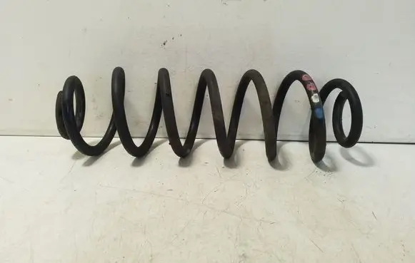 Rear coil spring