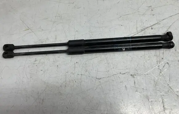 Opel Insignia B Front bonnet/hood damper/strut 39150008