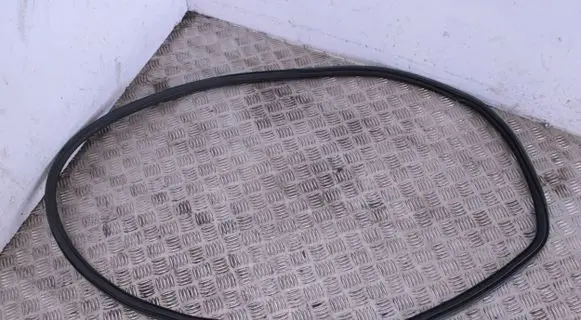 Opel Crossland X Rear door rubber seal (on body) 39120623